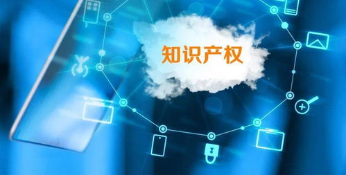 始于专注 精于创新丨国家高新技术企业 是资质，更是鞭策