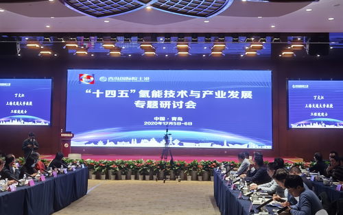 聚焦氢能技术与产业发展 国内外院士齐聚青岛 共汇前沿助开发